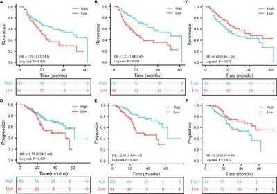 Lymphocyte-to-Monocyte Ratio (LMR) During Induction Is a Better Predictor Than Preoperative LMR in Patients Receiving Intravesical Bacillus Calmette -Guerin for Non-Muscle-Invasive Bladder Cancer